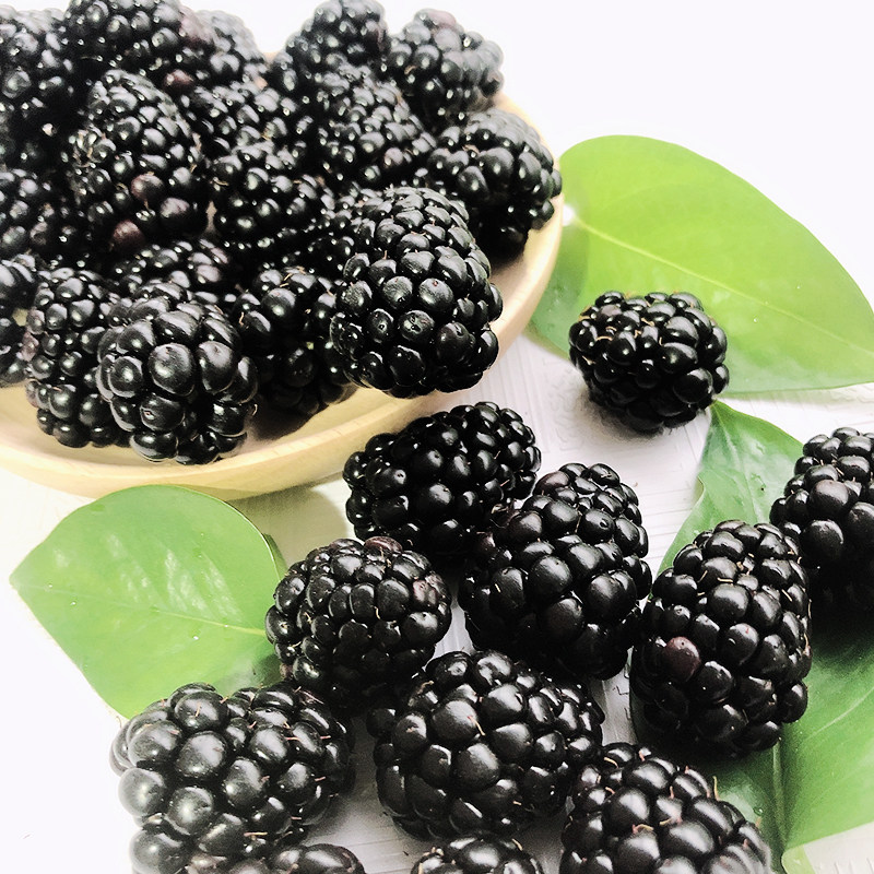 黑莓新鲜鲜果盒装水果覆盆盆子黑树树莓果桑其它