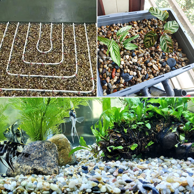 50斤鹅卵豆石沼泽过滤鱼缸造景小粒石头子头子滤料家装找平回填地暖