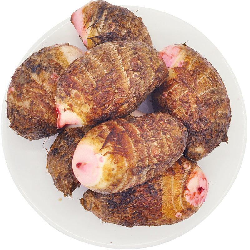 芋艿正常常发2020年5斤香芋红梗毛红芽芋软新鲜芋头