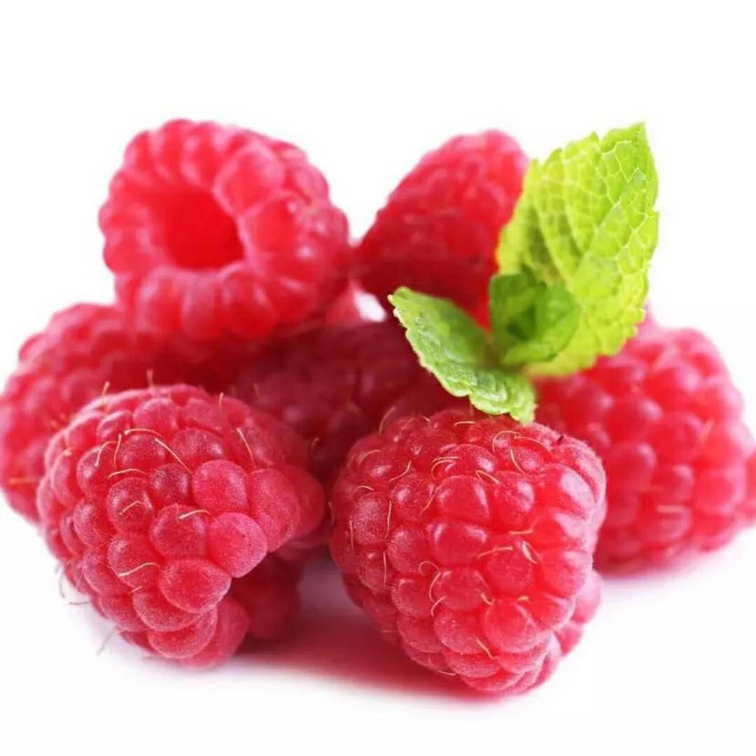 树莓覆盆500g新树莓盆子红树现货鲜果盒装水果树其它