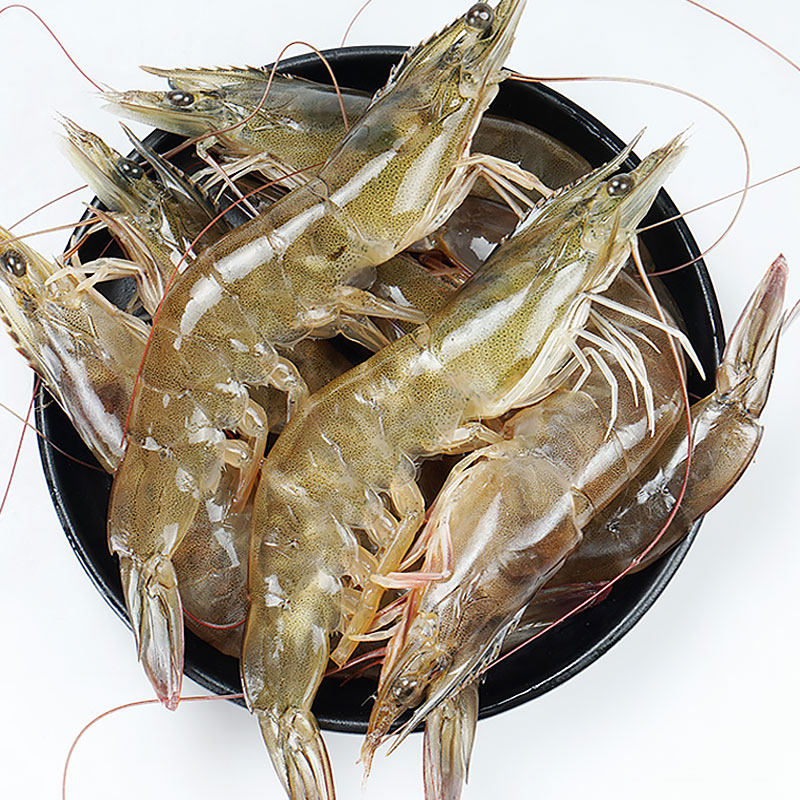 大虾鲜活超大鲜虾活虾新鲜海虾青虾冷冻海鲜冻虾