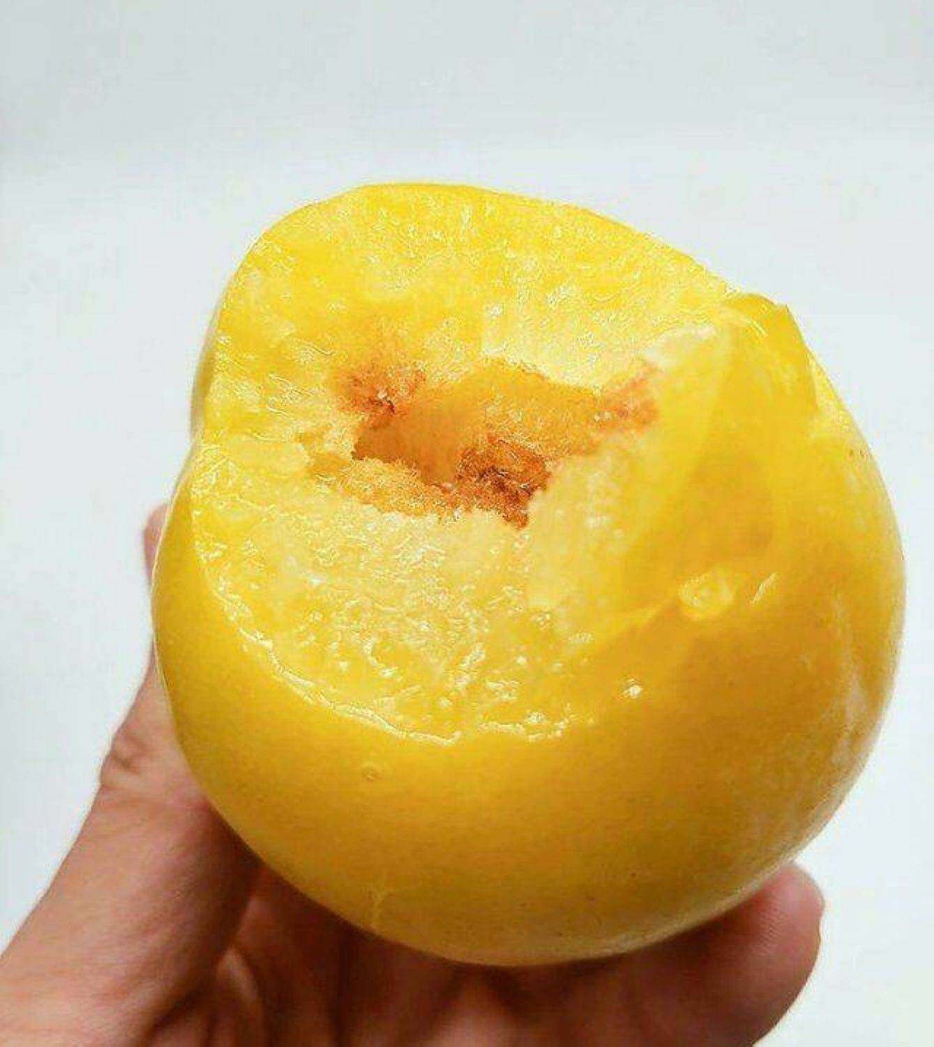 树苗黄金李脆果甘甜口味金黄颜色黄金奈李树苗金奈果树