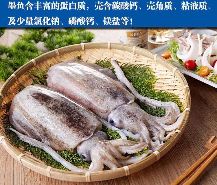缔海温州新鲜大墨墨鱼鲜活大目冷冻水产乌贼冷冻墨鱼
