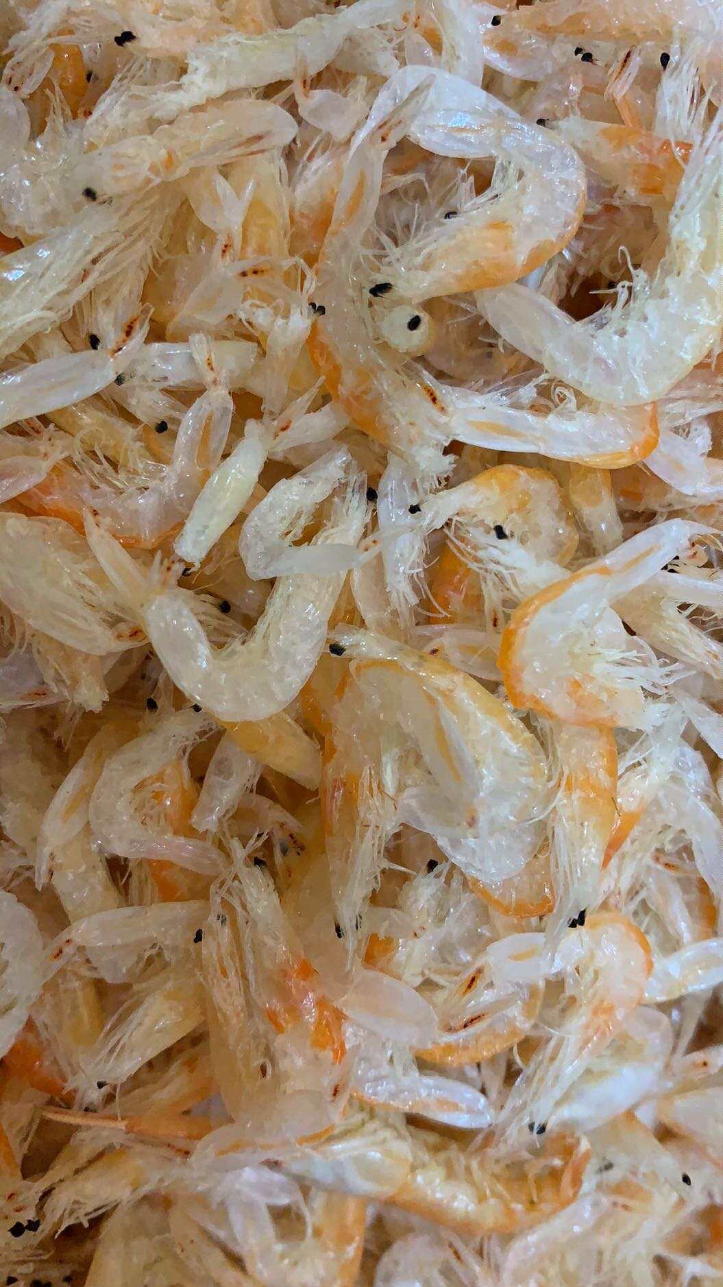 2022缔海新红膏芒种虾皮500g淡干海鲜干货水产虾皮