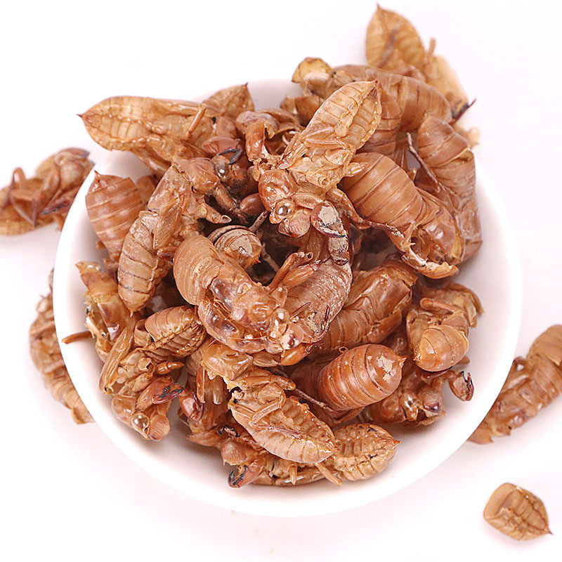 蝉蜕金蝉正品天然中药材500g包邮土特产水洗知了其他药食同源食品