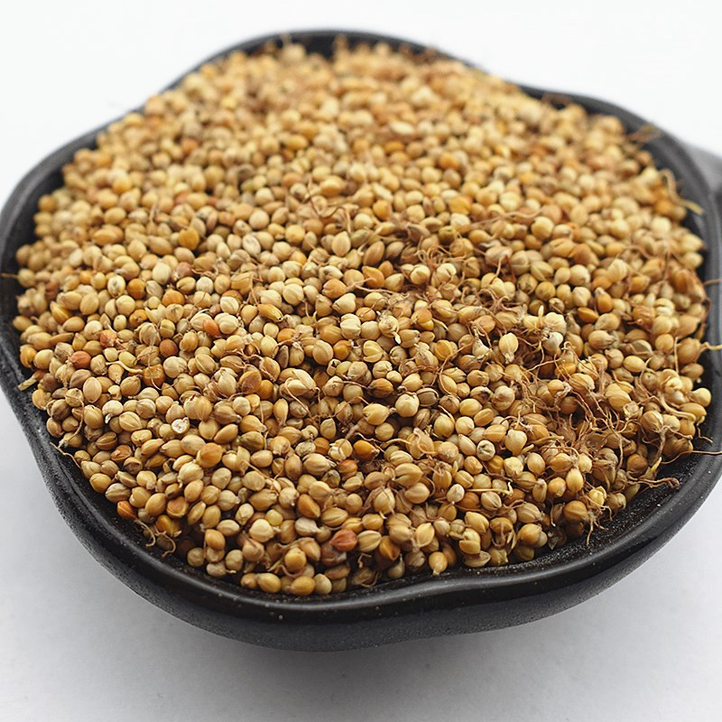 生谷谷芽500g包邮天然纯中药中药材三星汤料麦芽其他药食同源食品