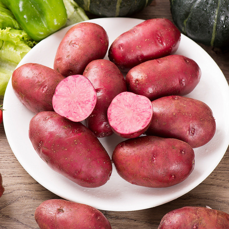 山东特产新鲜红土豆洋芋马铃薯5斤
