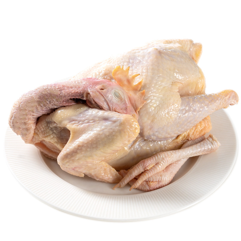 老母非走地煲汤喂养粮食鲜纯母鸡新鲜纯抗生素激素整鸡