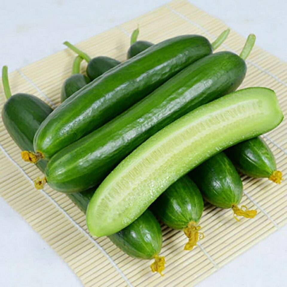 水果小黄瓜新鲜脆嫩荷兰小青瓜孕妇蔬菜营养健康整箱黄瓜