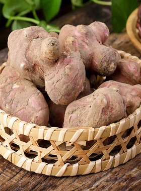 红洋姜新鲜野生鬼子姜不辣农家泡菜