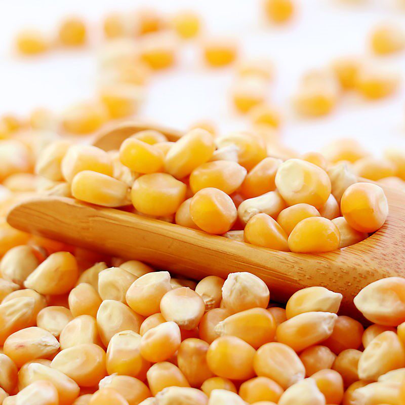 爆米花米乐乐谷球型蝶形100g爆裂玉米粒玉米玉米家膨化食品