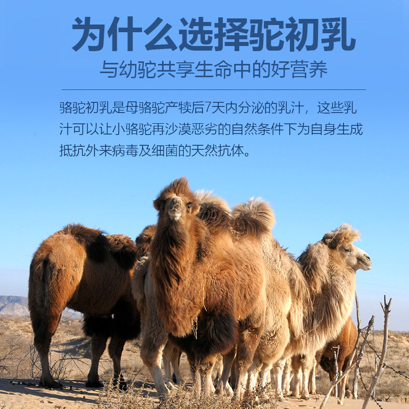 欧普善骆驼奶粉初乳内蒙古双峰驼奶官方旗舰店官网中老年人驼奶粉