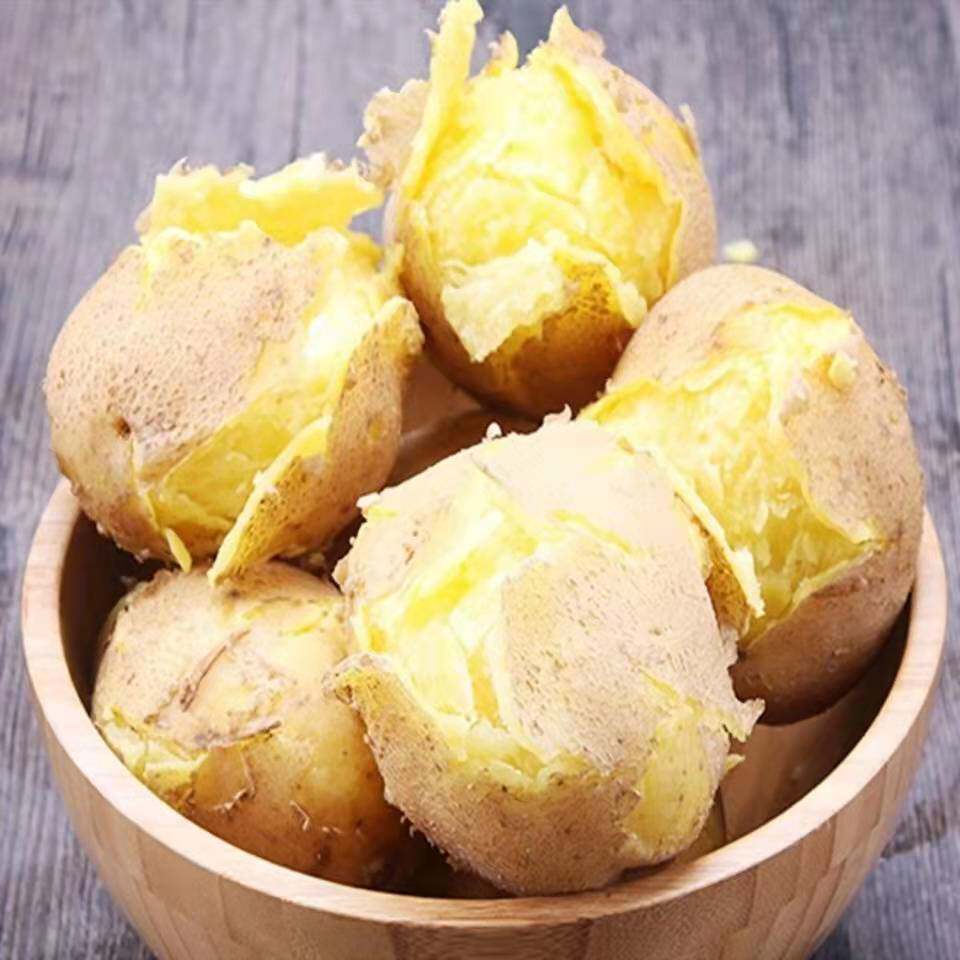 新鲜定西西沙面土豆包黄心马铃薯甘肃土特产蔬菜土豆