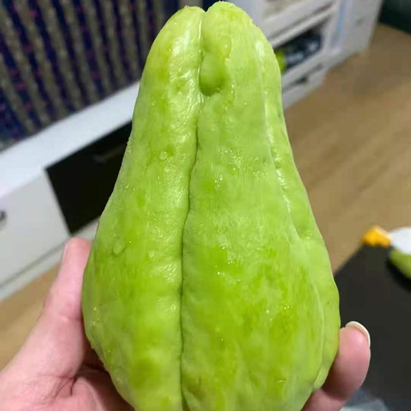 贵州佛手新鲜蔬菜洋瓜捧瓜丰收扶手瓜洋丝瓜佛手瓜