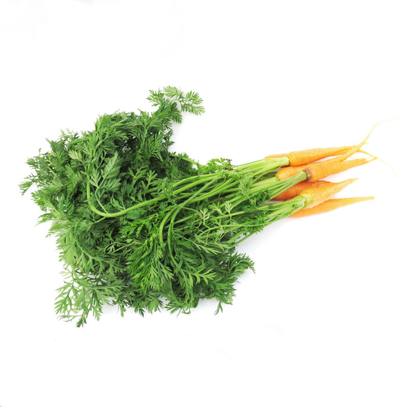 新鲜带叶手指小胡500g红卜迷你胡萝卜可用摆盘其它