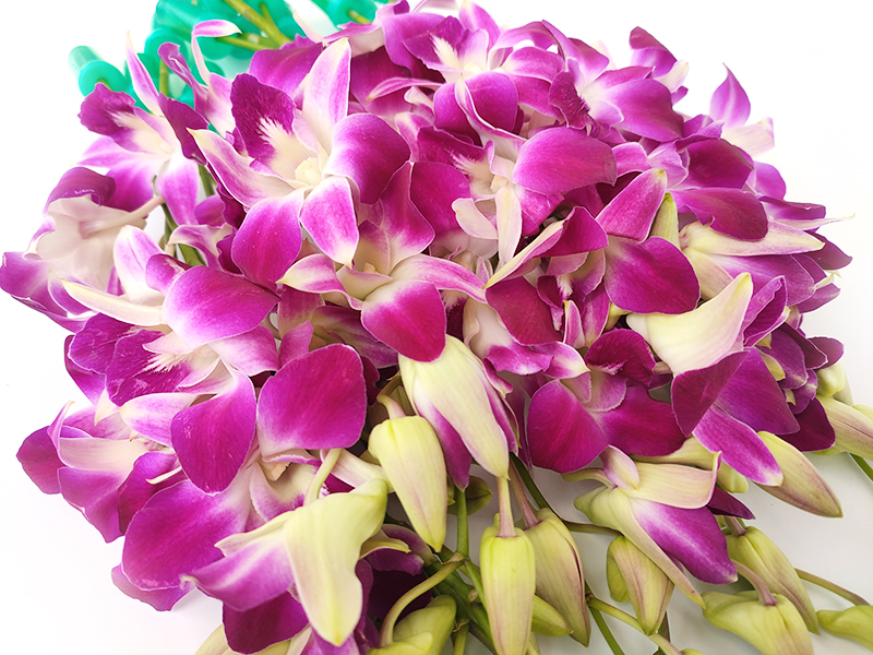 兰花摆盘西餐插花酒店杨兰花整把石斛花朵鲜花其它