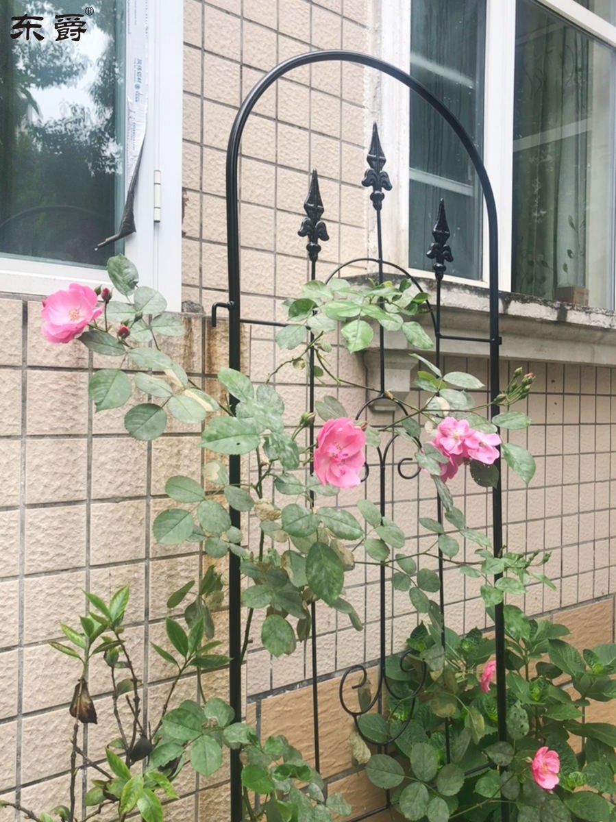 爬藤藤架花架铁艺网格花墙攀爬架子月季铁线莲花架