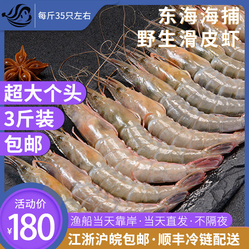 野生条虾海呛虾剑虾海虾东海水产3斤新鲜活钩虾冻虾