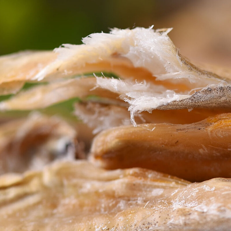 龙头鱼干去头全干全淡宁波特产九肚豆腐咸鱼鱼干