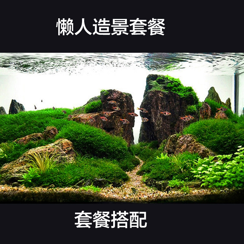 水草造景鱼缸装饰套餐水族箱青龙石松皮泥沉木造造景