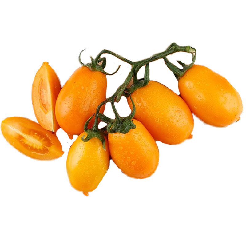 番茄黄罗曼四季菜种蔬菜盆栽阳台高产樱桃西红柿家庭园艺种子