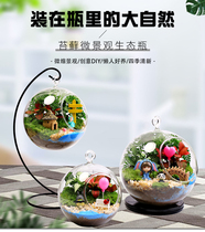 Corporate Event Moss Microscape DIY Material Bag Creative Glass Ball Eco Bottle Pendulum Gift kit