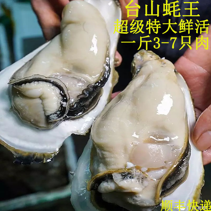 生蚝广东台山蚝王超级特大鲜活肉现剥去去壳生蚝
