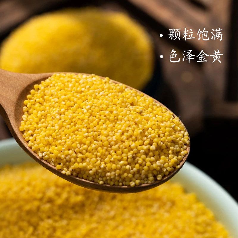 碧优源口口香2021新米10斤赤峰黄小米大金苗杂粮月子粥米香糯粘稠