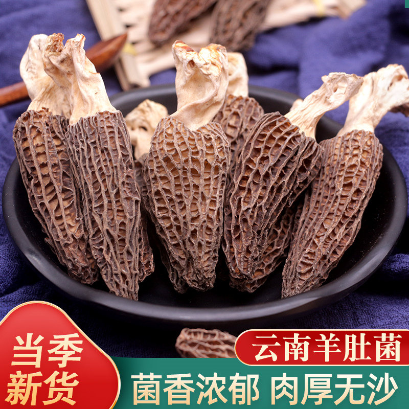 羊肚干货500g云南特产新鲜干羊蘑菇菌菇菇类羊肚菌