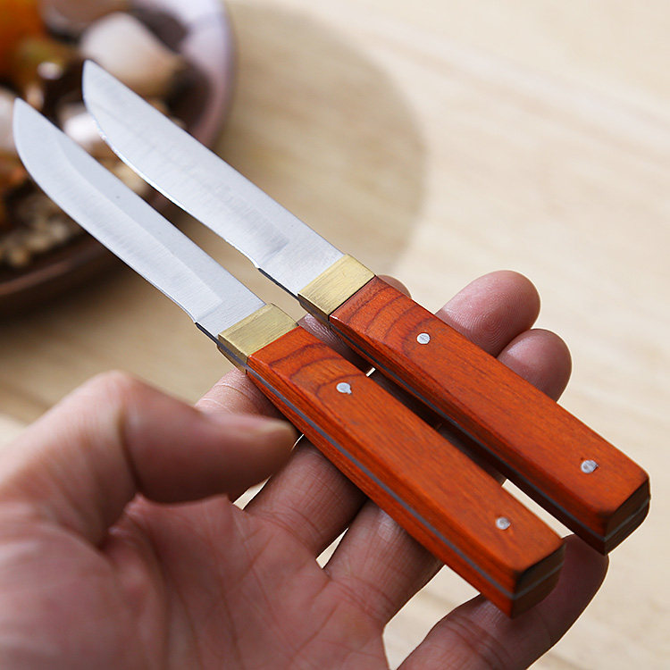 外贸进口不锈钢迷你小刀家用便携水果刀多功能手把肉木柄瓜果刀具