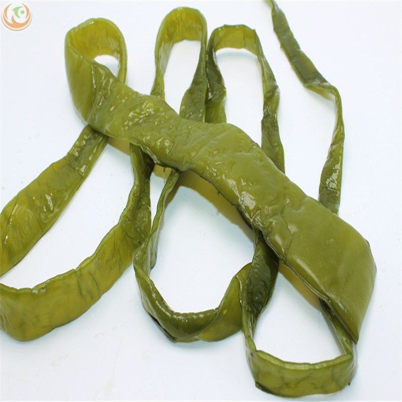 裙带群代带菜海菜菜梗海带梗段海白菜新鲜海菠菜海带