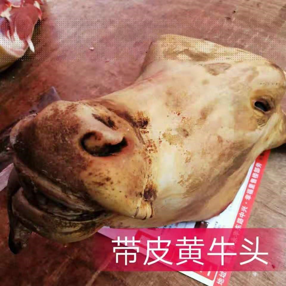 牛头新鲜整个半个牛老贵州省昆明半牛肉牛牛杂类