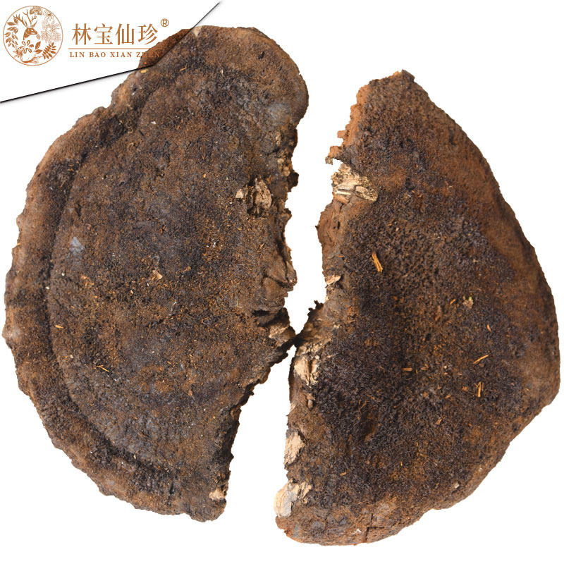林宝仙珍 长白山野生粗毛纤孔菌 粗毛黄褐孔菌 250g 买3送1