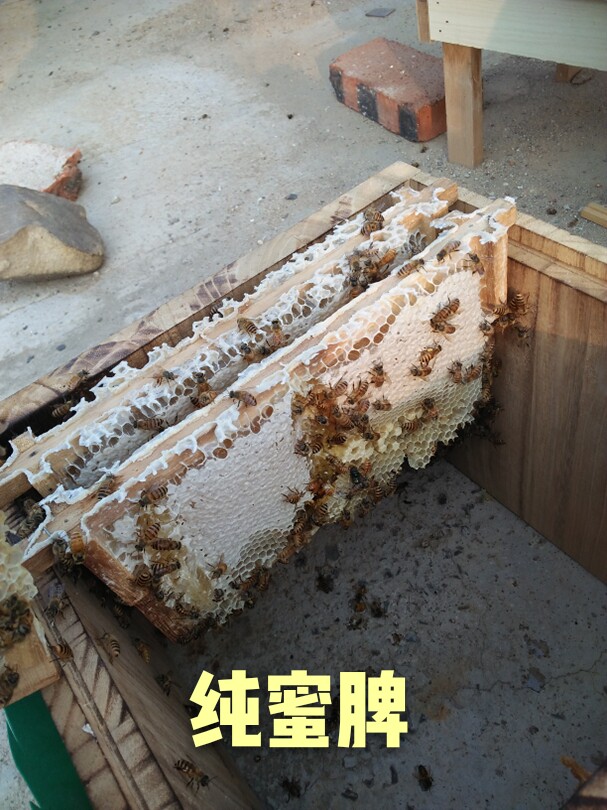 高端蜜蜂箱活框土养高窄箱子蜂巢蜂蜡梧桐木成品自带