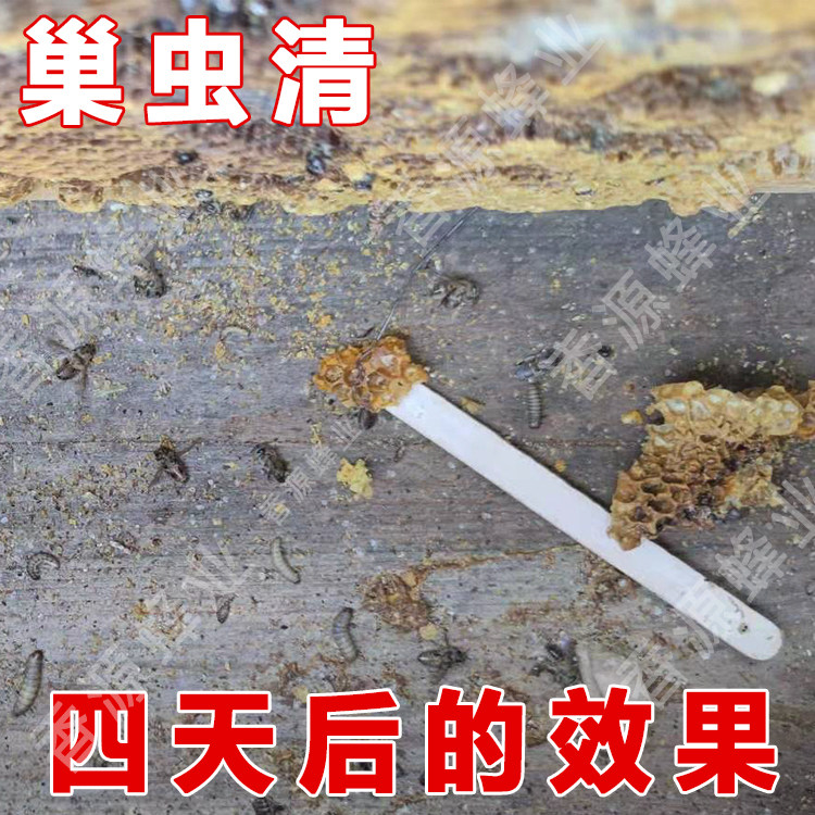 巢虫清木片正品中蜂专用蜜蜂防棉虫药巢虫净养蜂防虫片蜂箱除棉虫