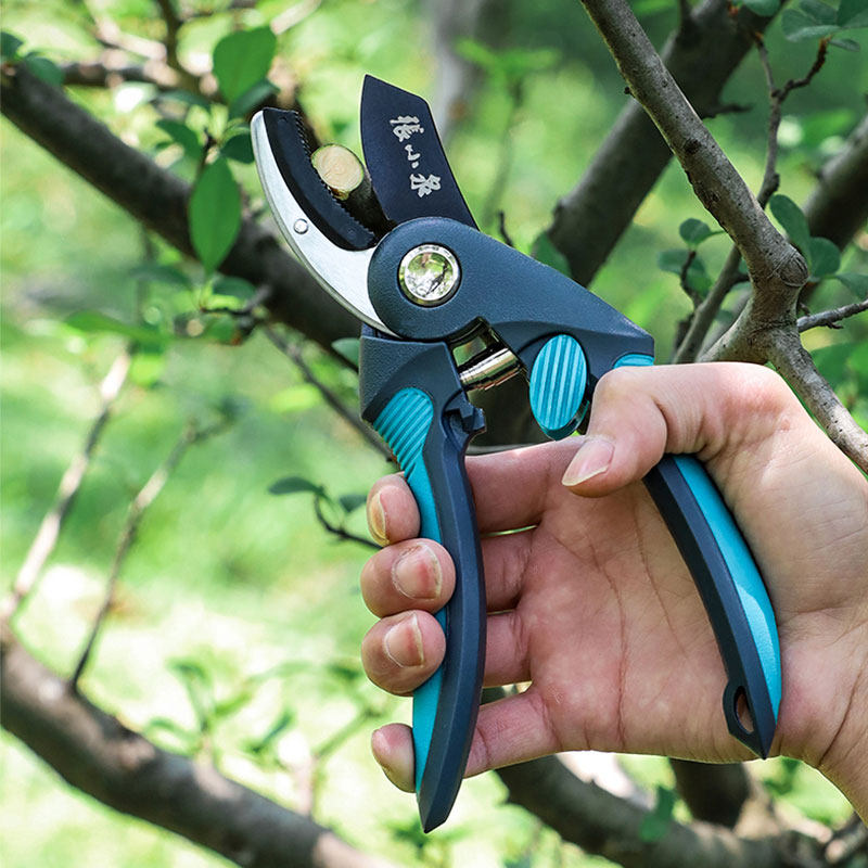 澳洲本地发货张小泉春悦系列整枝园艺修枝剪刀园艺刀剪