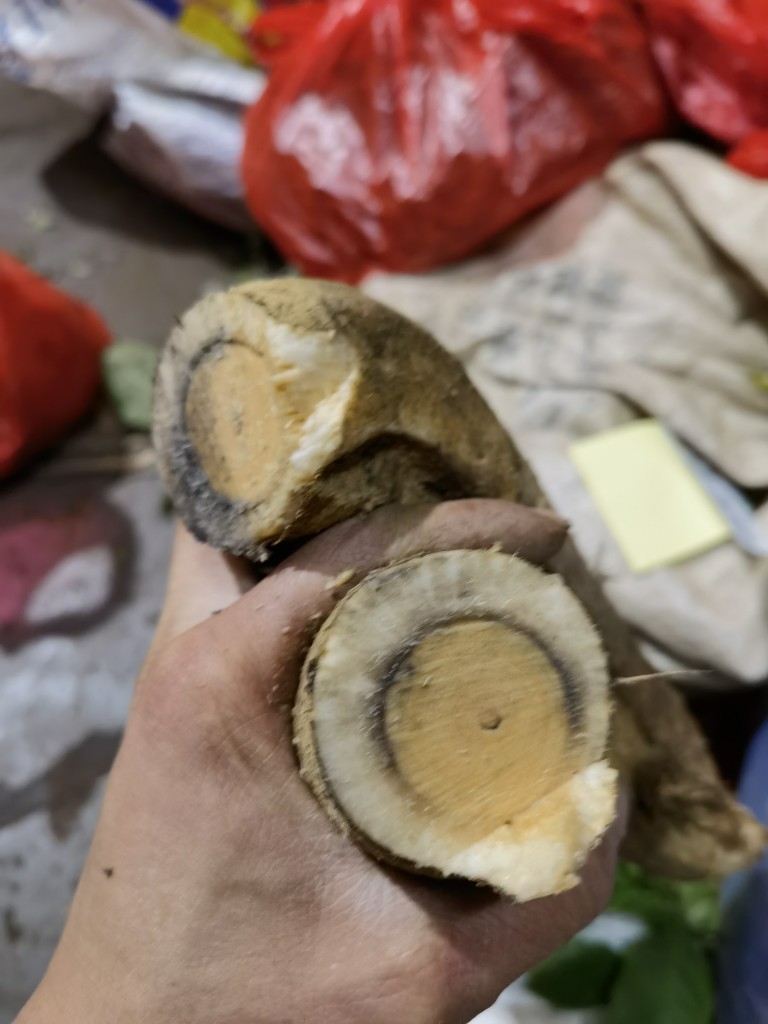 薯猫尾树根10斤老年野生猫尾化瘤木根正品化核农技服务