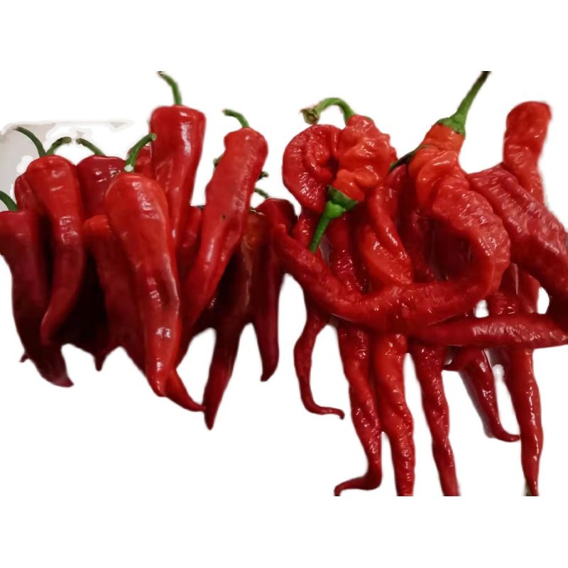 新鲜鲜红色螺丝辣妹子双拼农家辣椒东北尖椒龙椒现辣椒