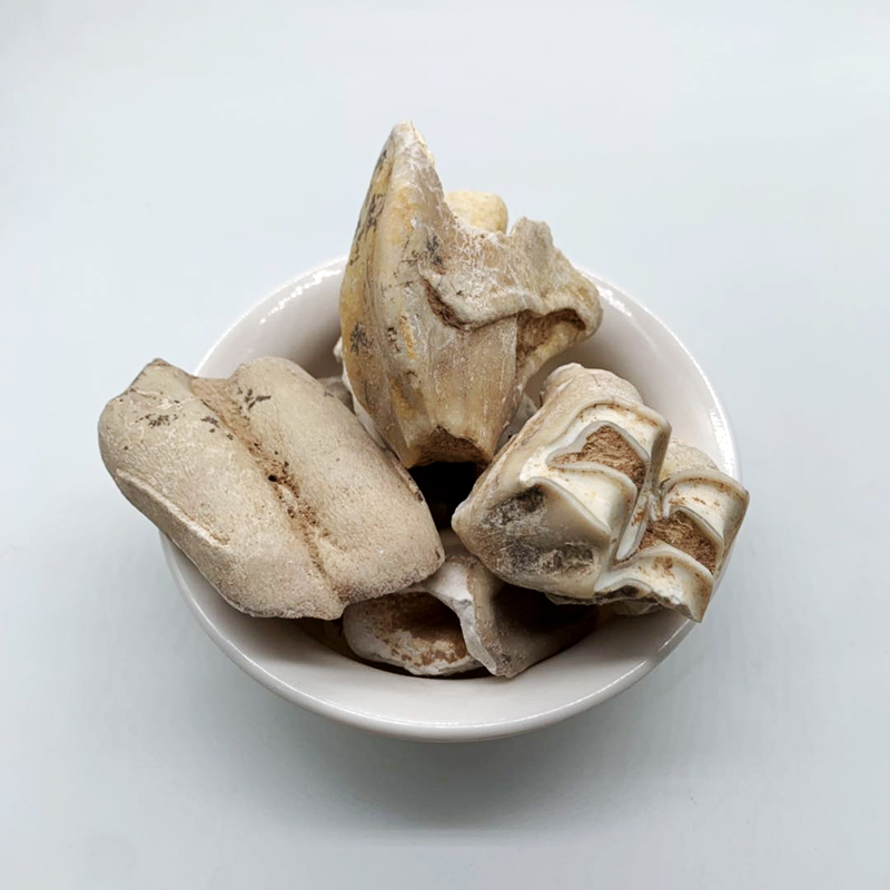 龙齿100g克散装生龙齿青龙齿正宗白龙齿块龙齿个非野生中药材