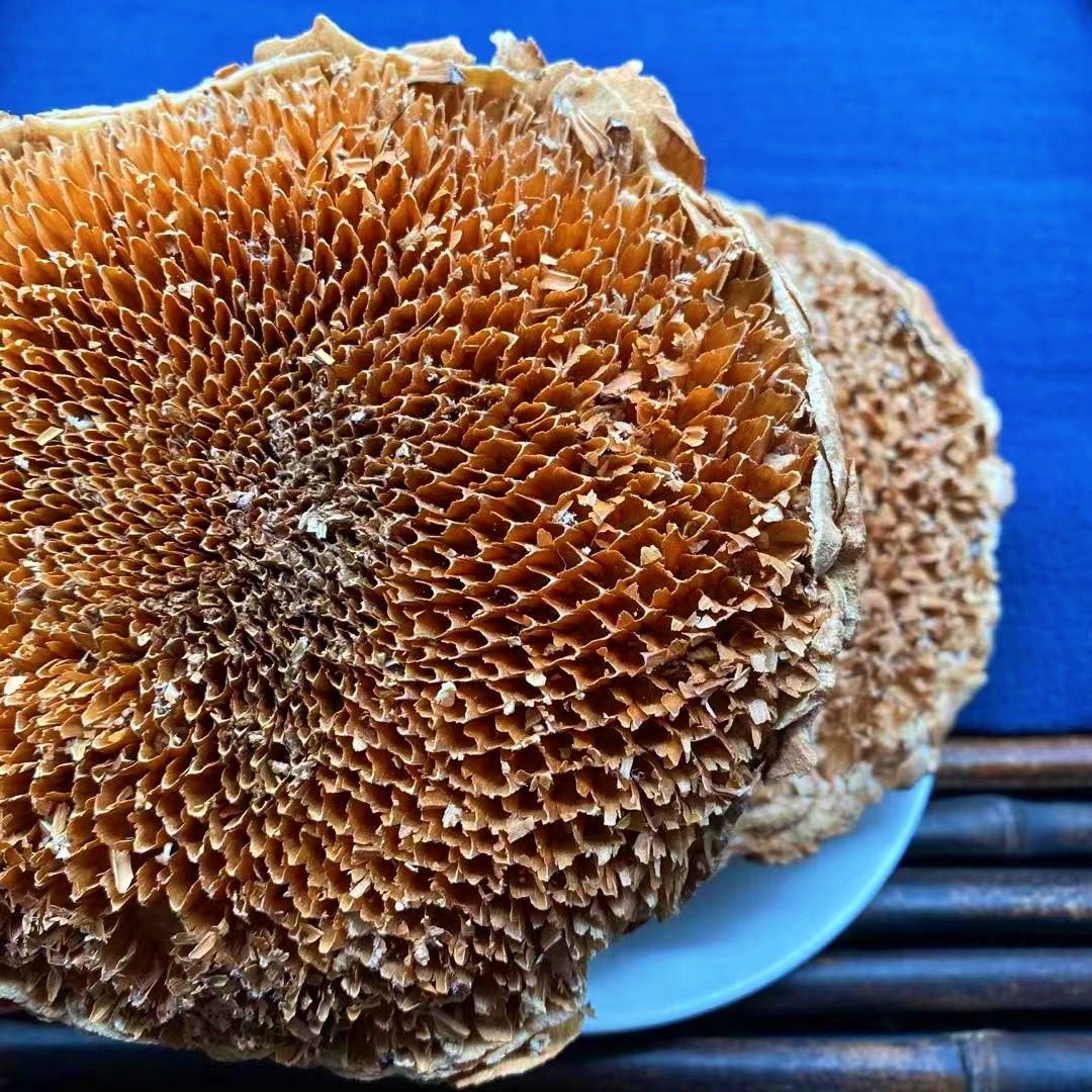 葵花向日向日葵500g散装盘干葵花籽盘托盘非野生其他药食同源食品