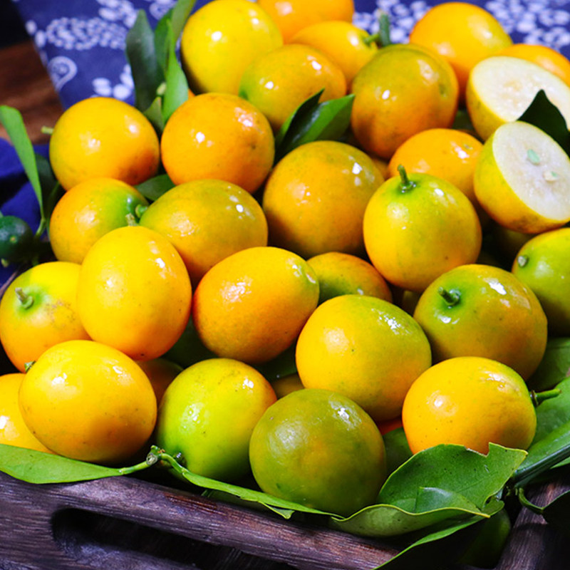 金桔水果新鲜广西融安小金滑皮脆皮金橘孕妇桔子