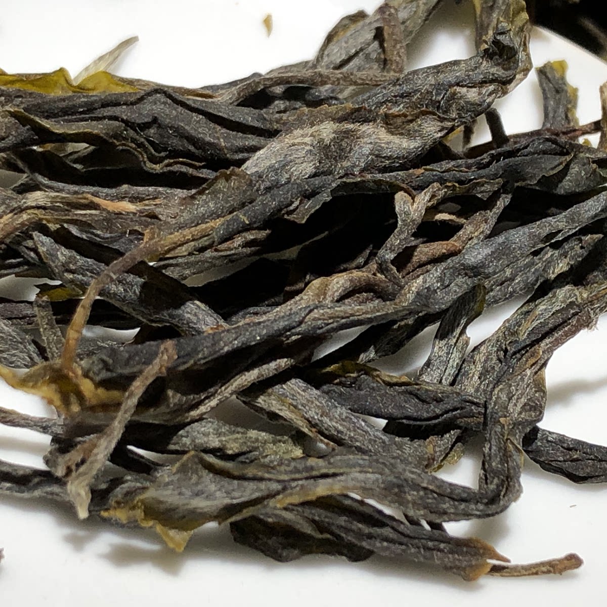 璟德名茶百年古树云南普洱茶临沧生态大叶种茶普洱