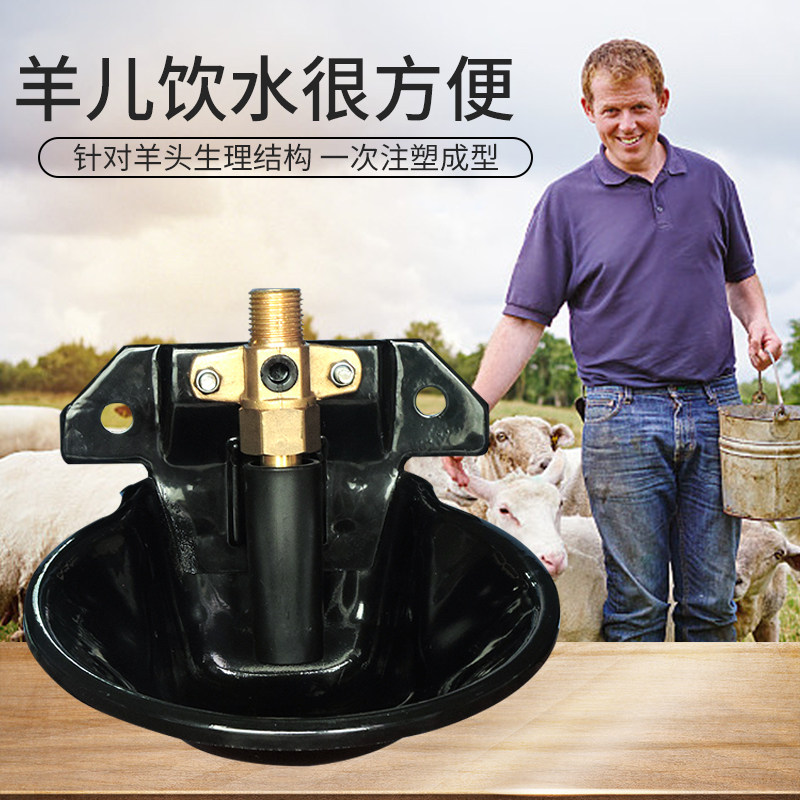 饮水器羊多多钢板羊用碗铜头羊自动喝水水槽畜牧器械