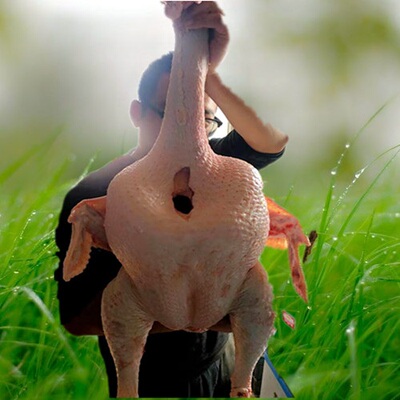 火鸡新鲜现杀火鸡肉整鸡烤火鸡火鸡腿