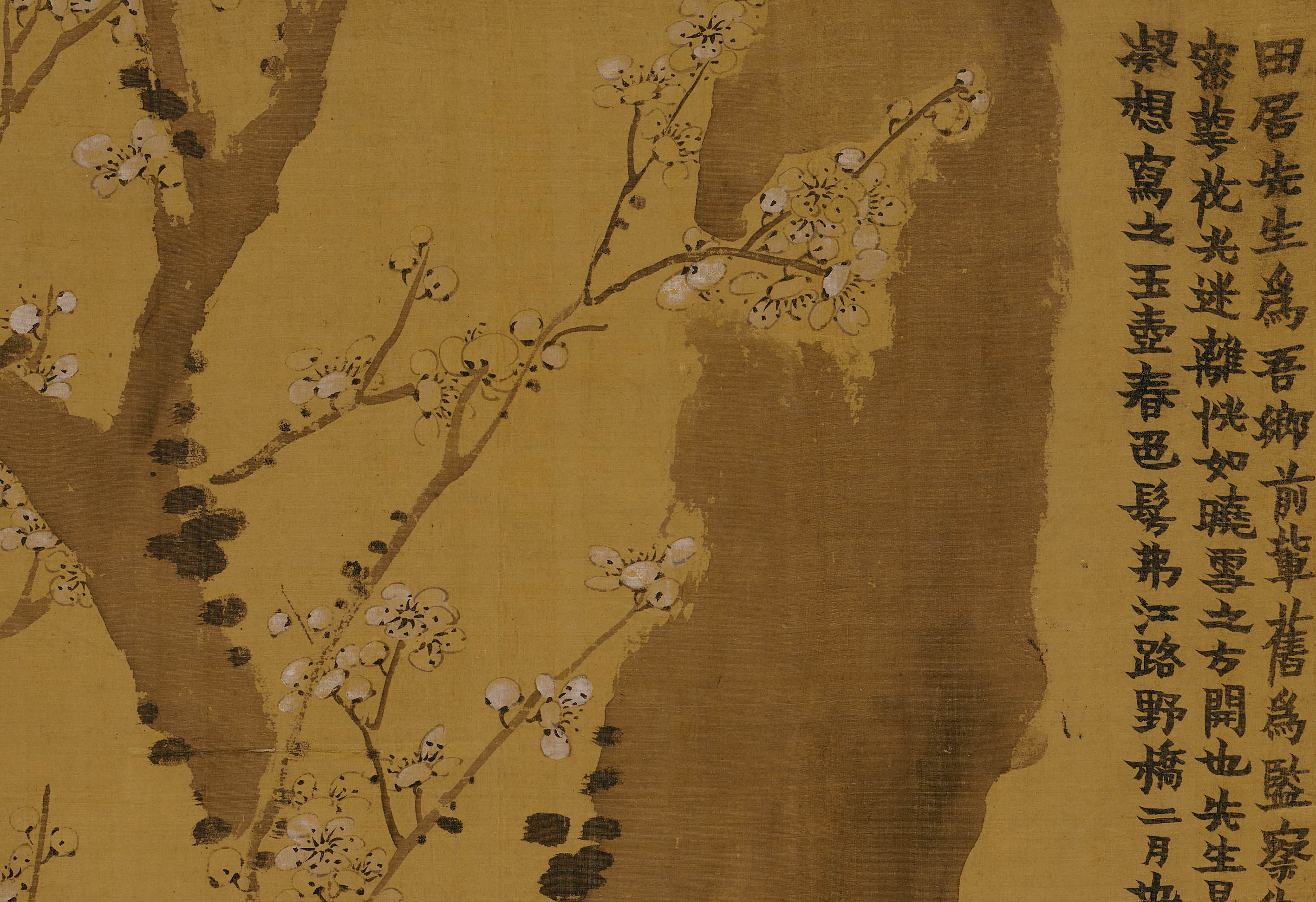 国画临摹清微高清微水墨梅树梅花写意之首八怪国画