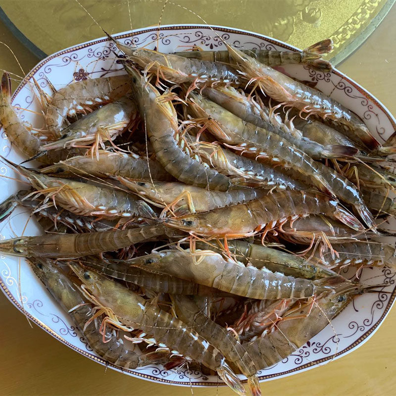 包邮3斤湛江鲜活海鲜速冻滑皮虾剑虾条虾鲜冻虾