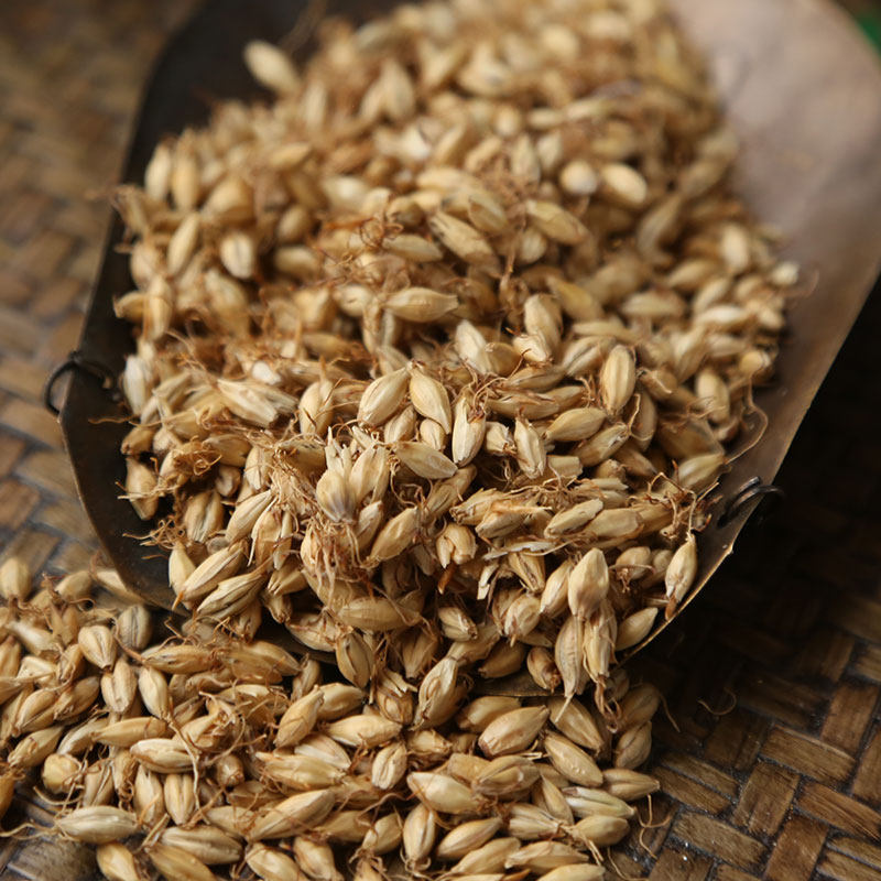 麦芽500克包邮大麦非炒中药材另有芽谷其他药食同源食品