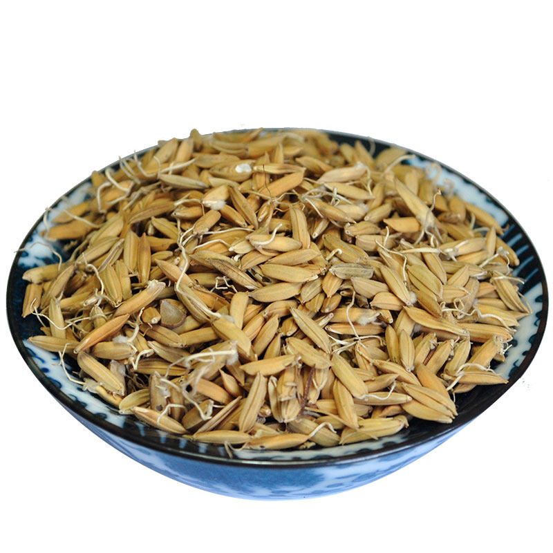 稻芽500g包邮生稻谷芽非野生中药材另售麦芽芽谷其他药食同源食品