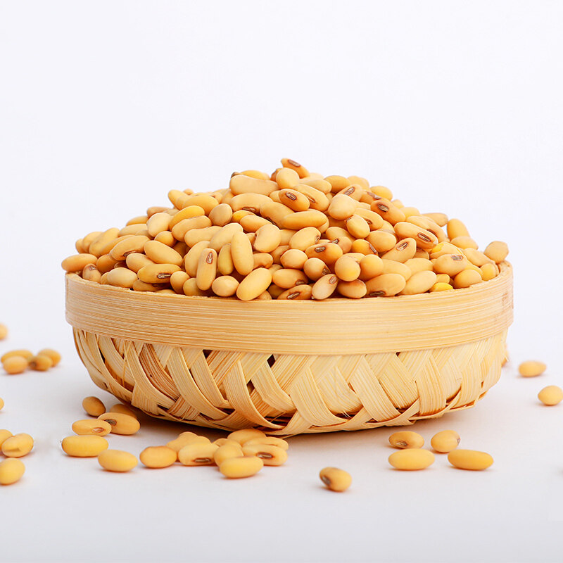 2020年陕北农家新笨扁形型黄豆450g自种自产产能黄豆