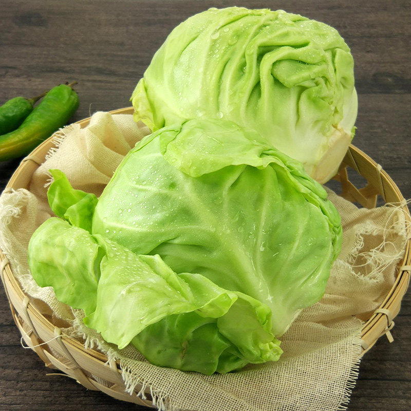 新鲜包菜卷心菜10斤农家自种花白圆白菜叶菜类